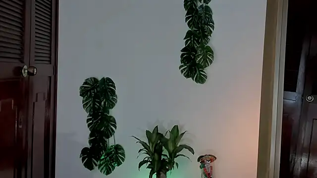 yandracelisofficial online show from 03-01-25, 04:22