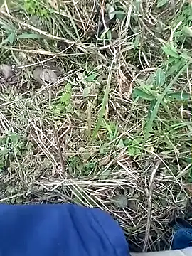 Nkumar173 online show from 11-08-25, 11:54