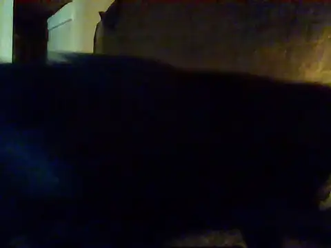 Nightshade7712 online show from 09-16-25, 09:38