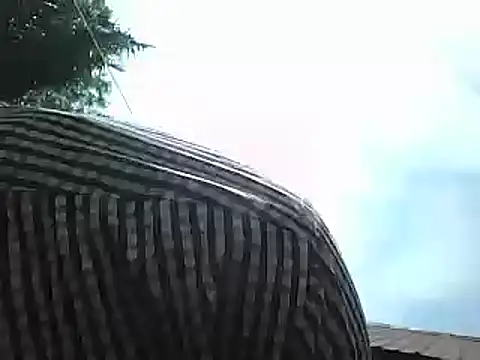 Javan  online show from 01-15-25, 08:41