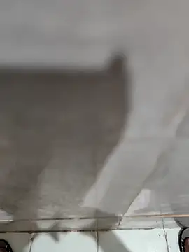 joejoe7 online show from 11-17-25, 01:33