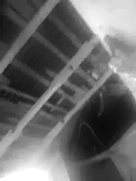 Snapshot of Jerryhottt chatting on 11-20-25, 03:18 Jerryhottt online show from 11-20-25, 03:18