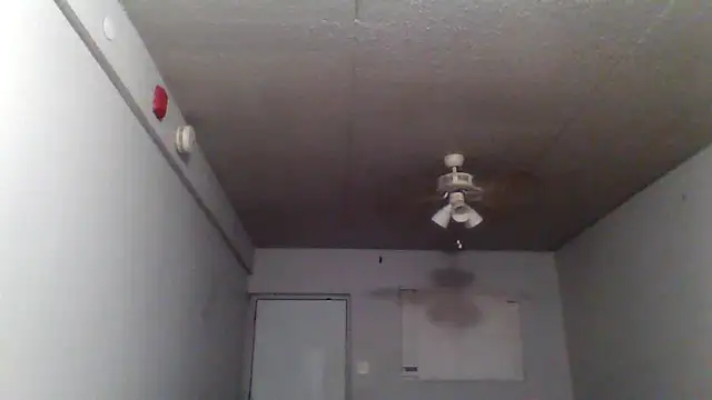 bigdick5157 online show from 10-07-25, 10:56