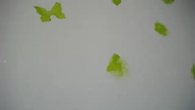 RACHELL  HOT online show from 09-30-25, 06:35