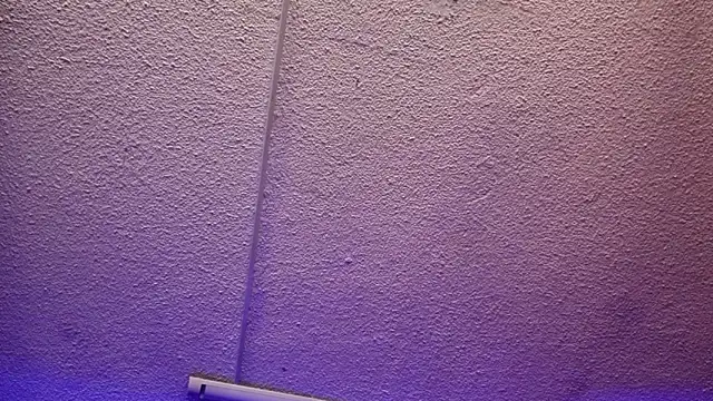 Julieta Russell online show from 12-03-25, 11:41