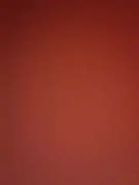 kikkastar online show from 12-25-24, 10:59