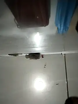 Flaquito pitudo online show from 03-01-25, 11:50