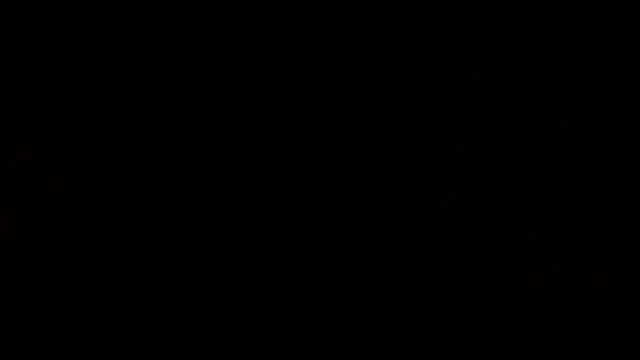 Flaquito pitudo online show from 03-09-25, 09:57