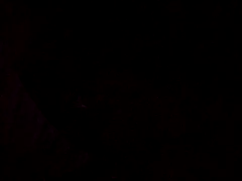 Flaquito pitudo online show from 03-12-25, 08:30