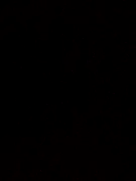 Flaquito pitudo online show from 03-18-25, 10:36