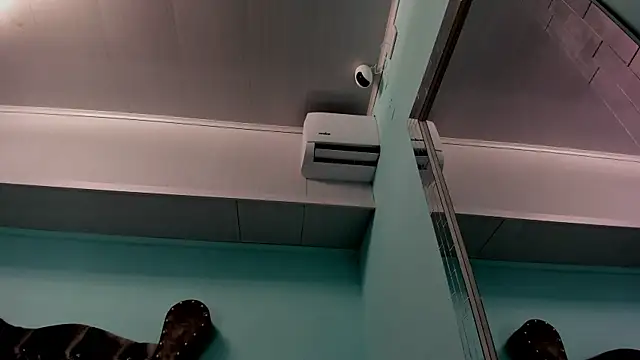 alice greco online show from 12-31-24, 10:58