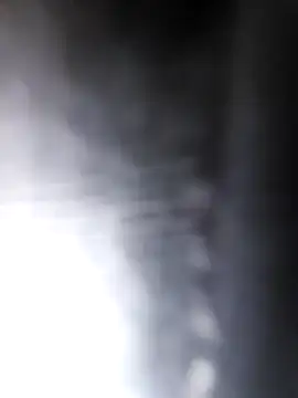 Snapshot of studboy1111 chatting on 12-31-24, 06:46 studboy1111 online show from 12-31-24, 06:46