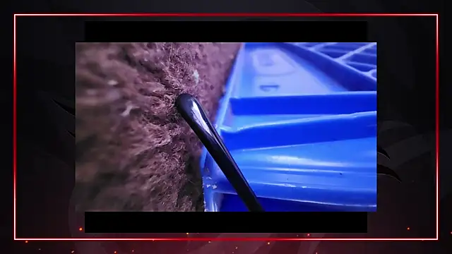 AriellaTaylor online show from 12-11-24, 04:42