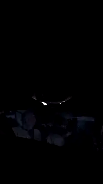 Snapshot of AriellaTaylor chatting on 12-14-25, 12:32 AriellaTaylor online show from 12-14-25, 12:32