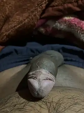 Snapshot of delhiboyz1 chatting on 02-16-25, 07:49 delhiboyz1 online show from 02-16-25, 07:49