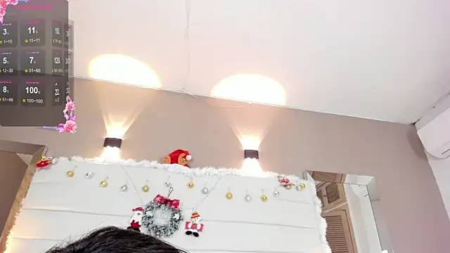 Lilly 2809  online show from 12-27-24, 07:29