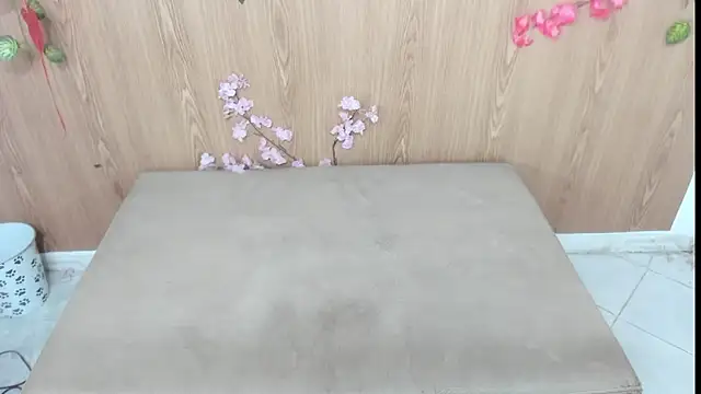 jenelotizz06 online show from 01-17-26, 03:55