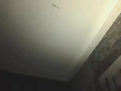 Prehistorixxx2686 online show from 01-12-25, 06:28