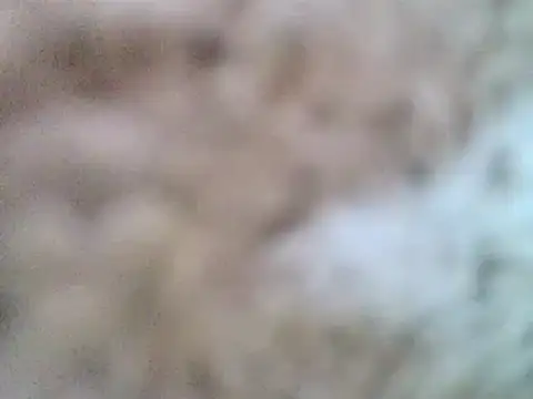 Snapshot of DaddyQuimHot chatting on 02-09-25, 12:08 DaddyQuimHot online show from 02-09-25, 12:08