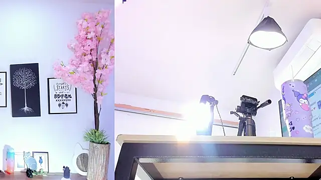 Siouxsie cenobite online show from 10-15-25, 11:32