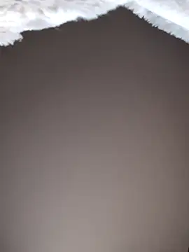 No-ties-fk online show from 02-08-26, 01:14