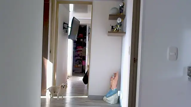 adan eva960 online show from 09-09-25, 12:59