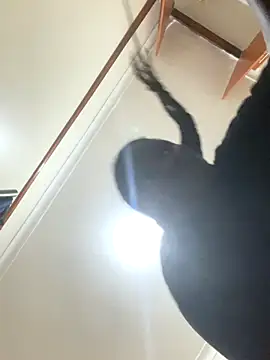 Snapshot of sweet18creamybigpussy chatting on 11-05-25, 08:09 sweet18creamybigpussy online show from 11-05-25, 08:09