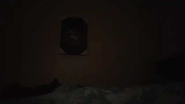 hailzeffn online show from 11-13-25, 02:10