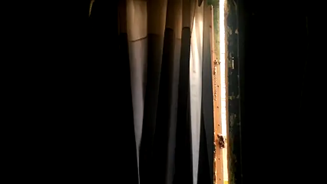 Haztogo4me online show from 04-18-26, 07:58