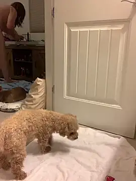 Snapshot of balad13 chatting on 01-21-25, 04:32 balad13 online show from 01-21-25, 04:32