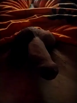 Luiz 097 online show from 09-13-25, 06:46