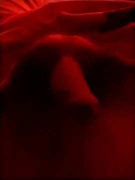 Luiz 097 online show from 01-15-26, 05:56