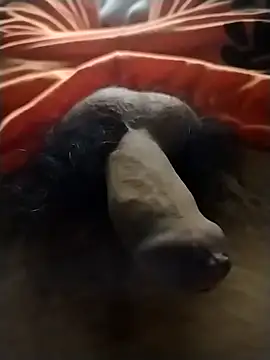 Luiz 097 online show from 01-19-26, 05:22