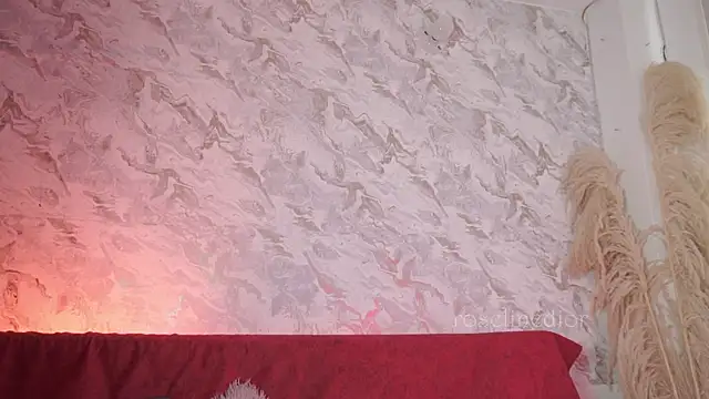 roselinedior online show from 11-18-25, 12:53