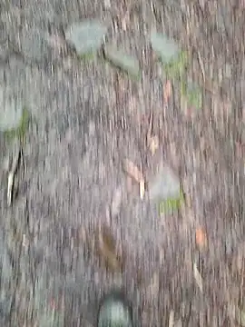 FreezingTie850 online show from 03-10-26, 02:33