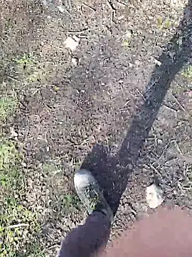 FreezingTie850 online show from 03-11-26, 03:07