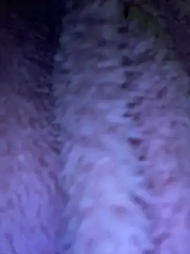 Snapshot of TrenaAnne chatting on 03-21-25, 04:28 TrenaAnne online show from 03-21-25, 04:28