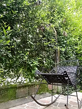 sebasxx97 online show from 02-17-26, 03:19