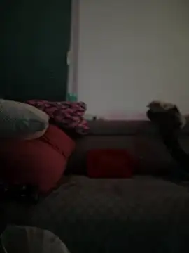 BigBoy420x online show from 02-28-25, 05:04