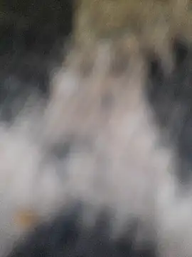 marcialoira online show from 02-05-25, 10:12