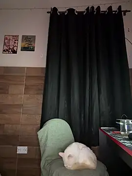 izumikarol online show from 03-11-26, 03:12