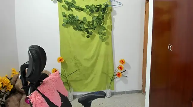 corzoethan online show from 01-11-25, 02:41