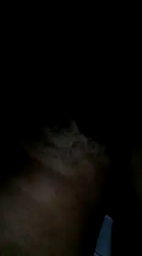 Sergipano fogozinho online show from 01-28-25, 05:00