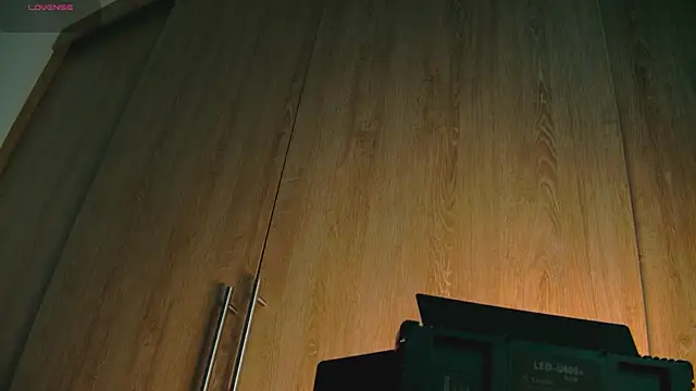 Snapshot of aidaadams chatting on 10-25-25, 08:33 aidaadams online show from 10-25-25, 08:33