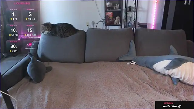 Clairedelilah online show from 01-21-25, 08:32