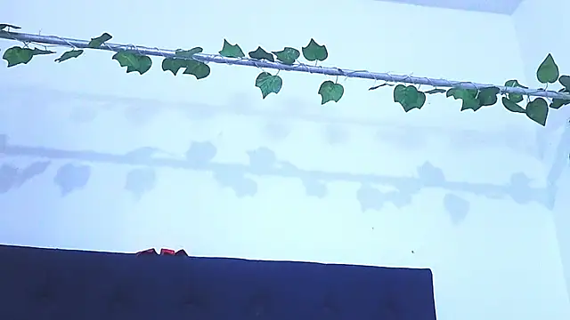 Snapshot of AliciaBasch chatting on 01-09-25, 02:01 AliciaBasch online show from 01-09-25, 02:01