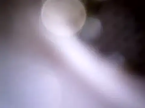 Beijing2000 online show from 01-14-25, 04:04