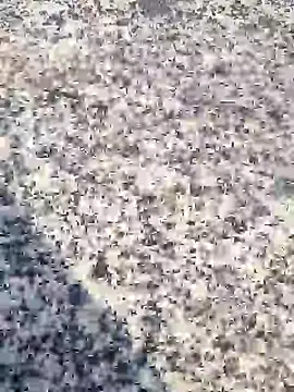 Beijing2000 online show from 01-30-25, 12:39