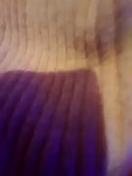 AsStraightAsARuler online show from 12-03-25, 05:04