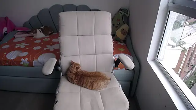 Snapshot of _arianalzate_ chatting on 01-29-25, 08:04 arianalzate online show from 01-29-25, 08:04